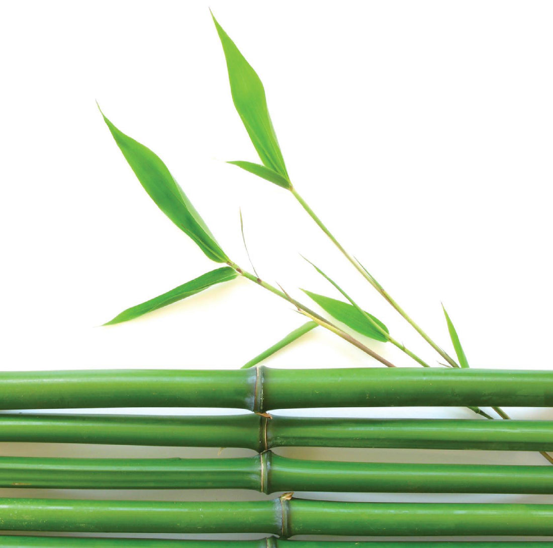 Les bienfaits du bambou, l'une des fibres les plus écologiques